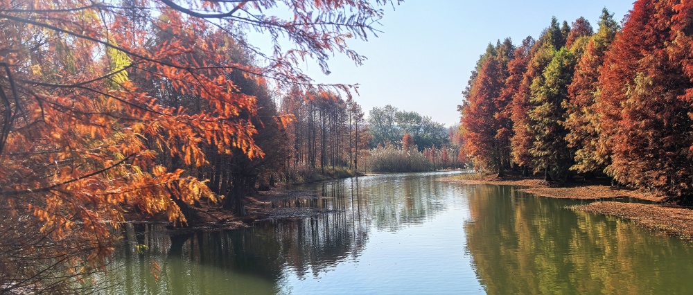 IMG_20241202_104139_副本.jpg