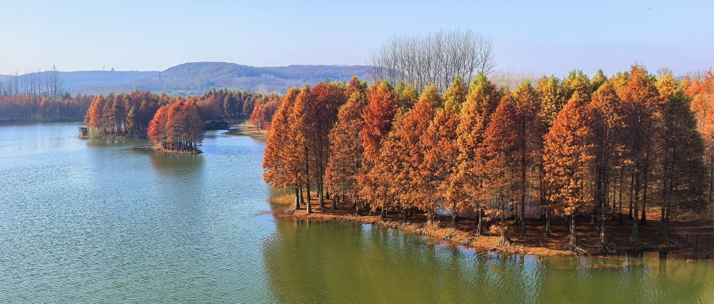 IMG_20241202_100936_副本.jpg