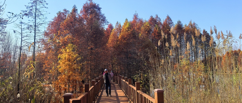 IMG_20241202_103212(1)_副本.jpg
