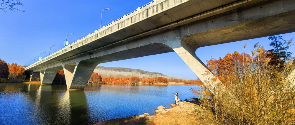 IMG_20241202_104431_副本.jpg