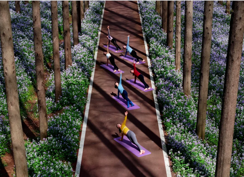 QQ20250102-154355.png